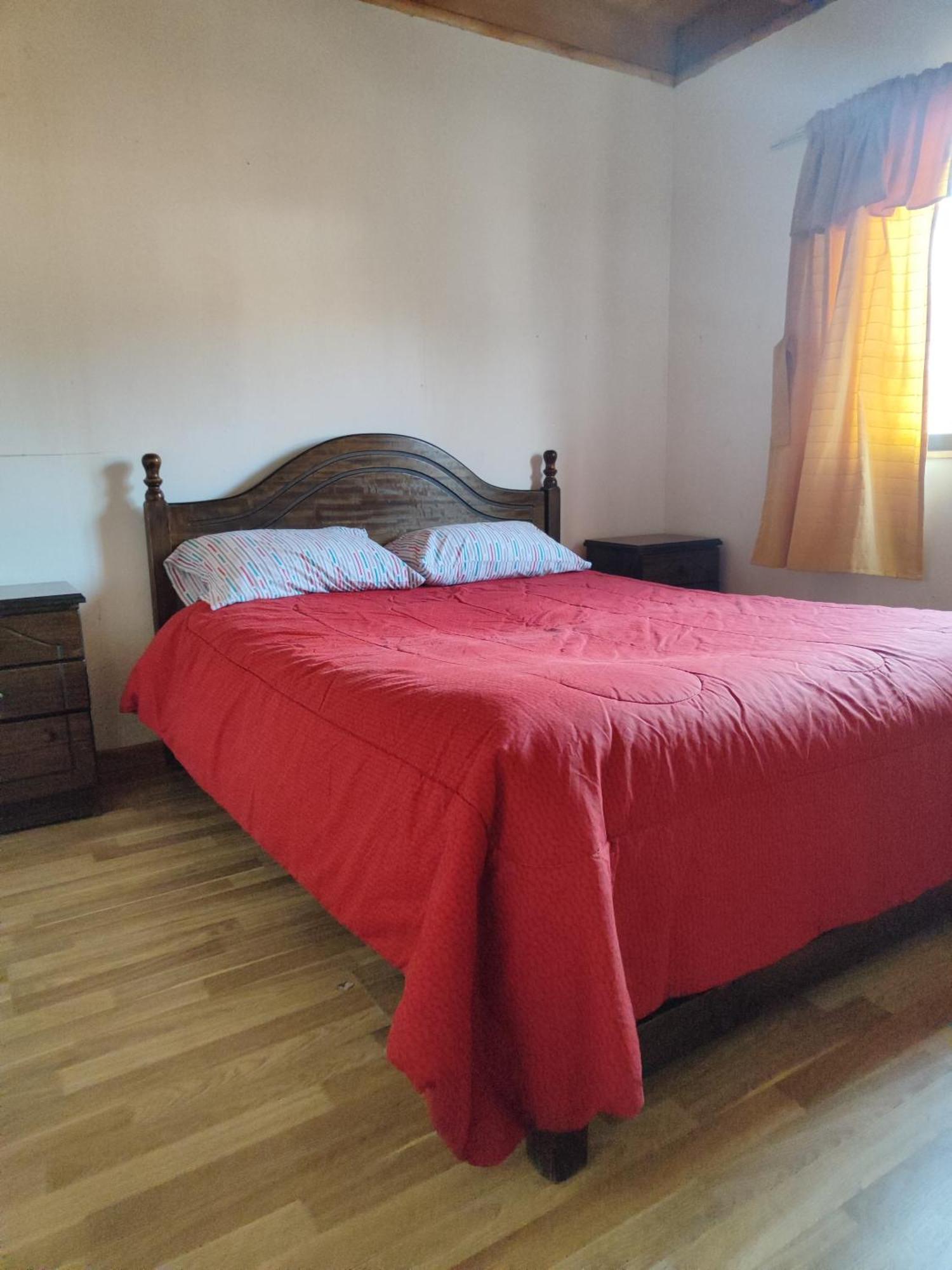 Alma Patagona Hostel Puerto Tranquilo Bagian luar foto